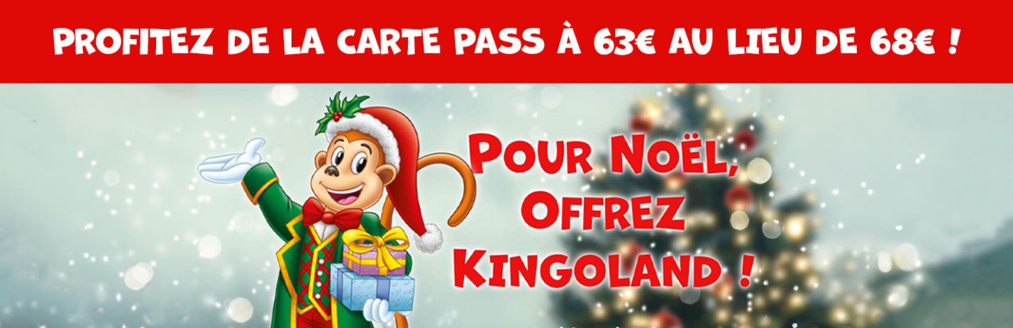 Carte Pass - Offre spéciale Noël - Déposez une Carte Pass au pied du sapin