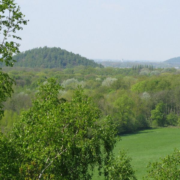 Apéro-visite au bois de l'Offlarde